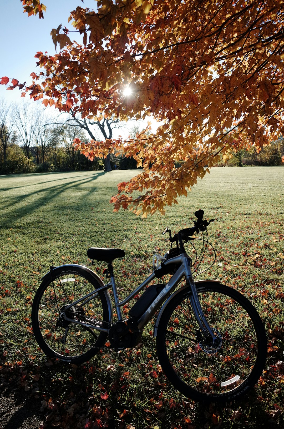 Fitness transformation journey